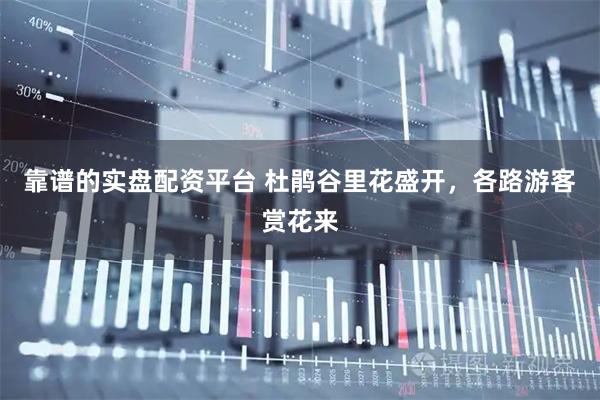 靠谱的实盘配资平台 杜鹃谷里花盛开，各路游客赏花来