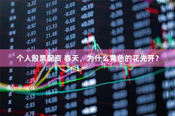 个人股票配资 春天，为什么黄色的花先开？